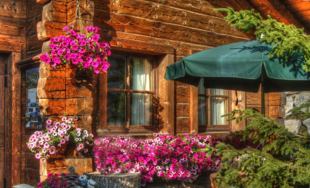 Park Chalet Village Livigno Dış mekan fotoğraf